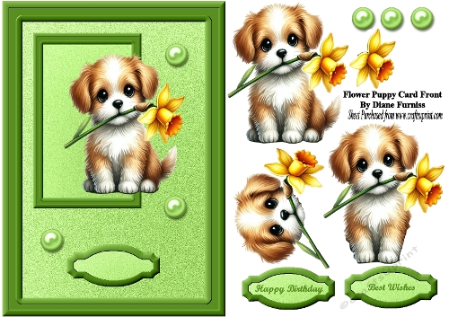 Flower Puppy Card Front