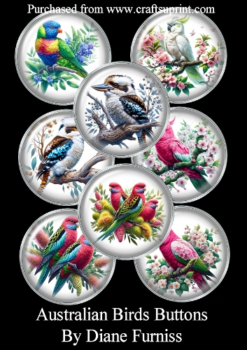 Australian Birds Buttons