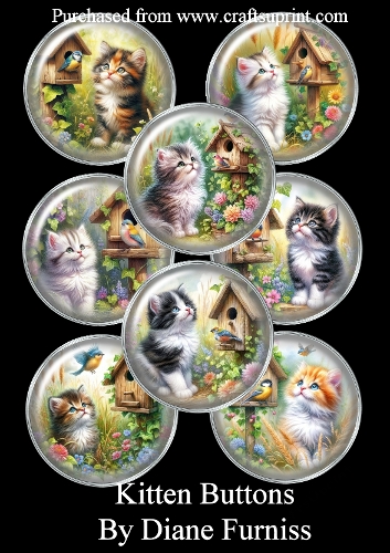 Kitten Buttons