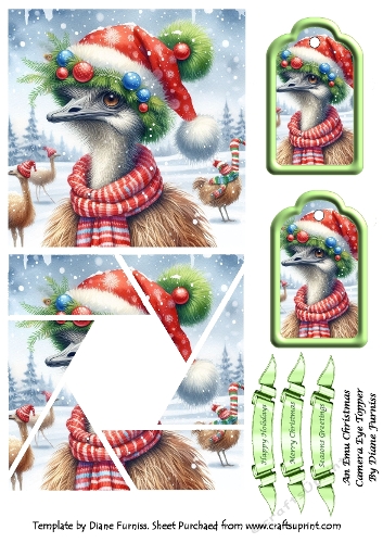 An Emu Christmas Camera Eye Topper