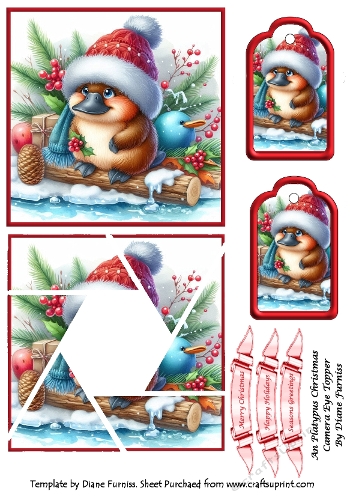 An Platypus Christmas Camera Eye Topper