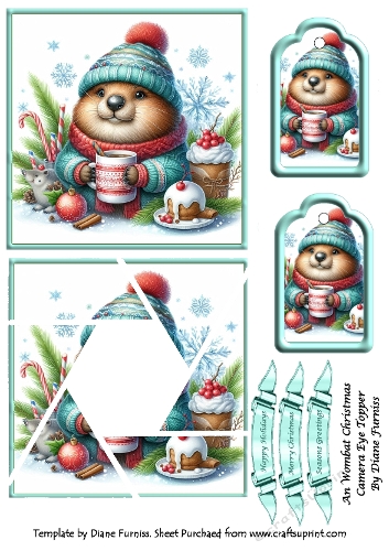 An Wombat Christmas Camera Eye Topper