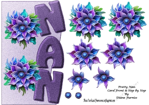 Pretty Nan Card Front 