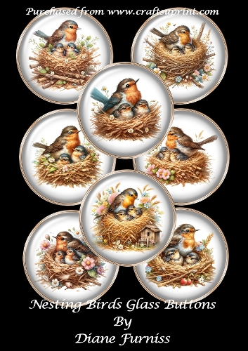 Nesting Birds Glass Buttons