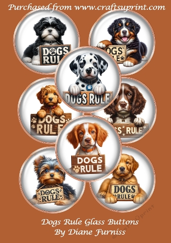 Glass Buttons Dogs Rule, 