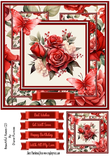 Beautiful Roses (2)