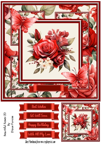 Beautiful Roses (3)