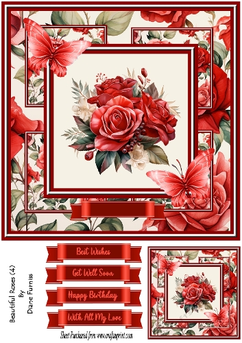 Beautiful Roses (4)
