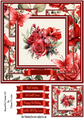 Beautiful Roses (5)