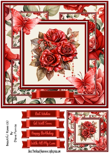 Beautiful Roses (6)