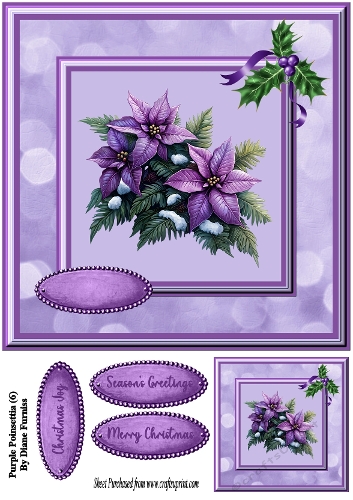 Purple Pointsettia (6)