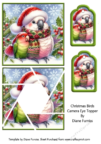 Christmas Birds Camera Eye Topper