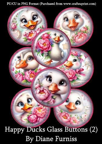 Happy Ducks (2)