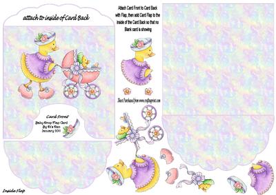 Baby Drop Flap Card