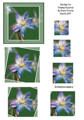 Painted Iris Twisted Pyramid