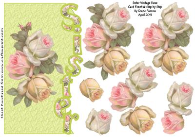 Sister Vintage Rose