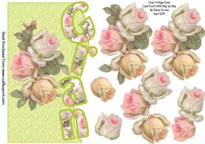 Gran Vintage Roses