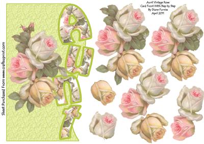 Aunt Vintage Roses
