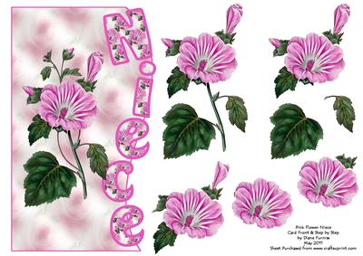 Pink Flower Niece