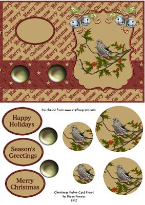 Christmas Robin Card Front