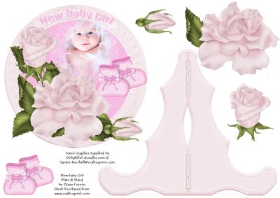 New Baby Girl Plate & Stand