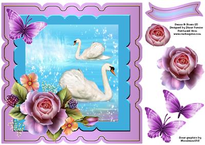 Swans & Roses (2) Card Front