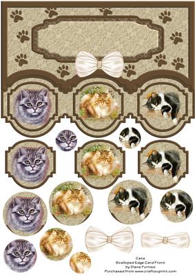 Cats Scalloped Edge Card Front