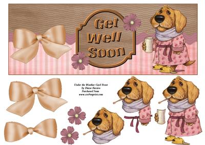 Under the Weather Large Dl Card Front