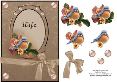 Wife Blue Bird Card Front