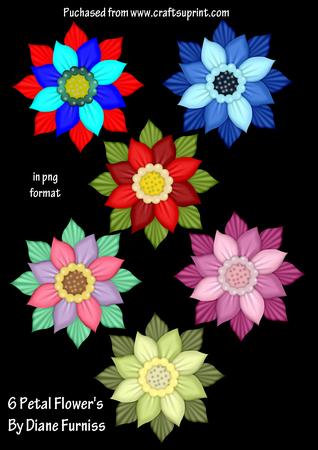 6 Petals