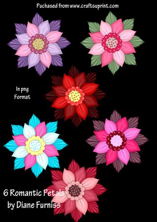 6 Romantic Petals