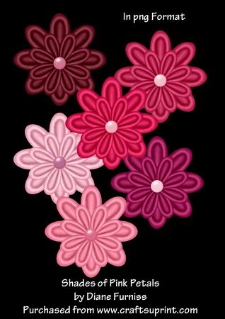 Shades of Pink Petals