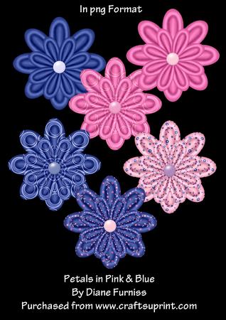 Petals in Pink & Blue