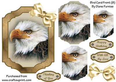 Bird Card Front (8)