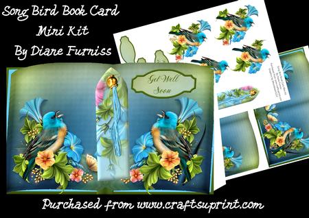 Song Bird Book Mini Kit