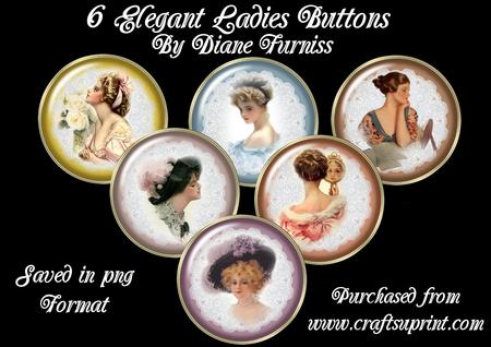 6 Elegant Ladies Buttons