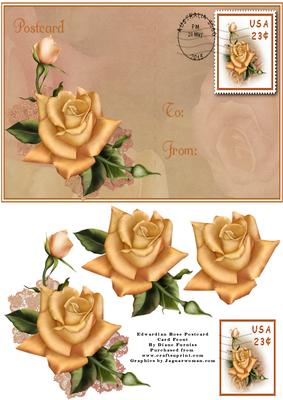 Edwardian Rose Postcard Card Front