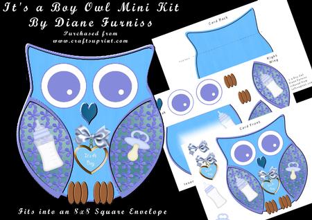 It's a Boy Owl Mini Kit