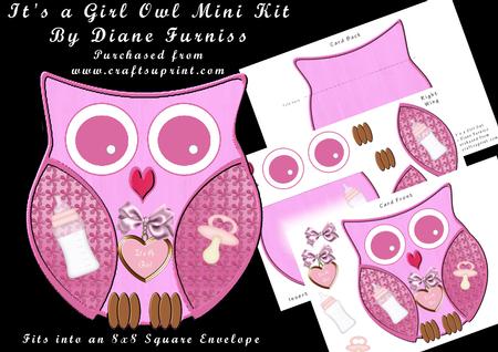 It's a Girl Owl Mini Kit