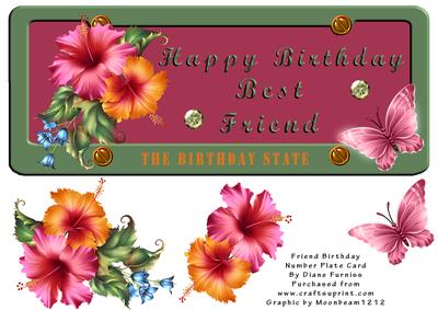 Friend Birthday Number Plate Card