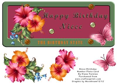 Niece Birthday Number Plate Card