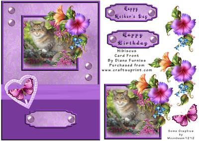 Hibiscus Card Front