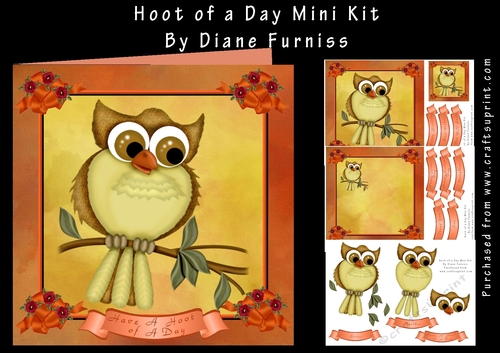 Hoot of a Day Mini Kit