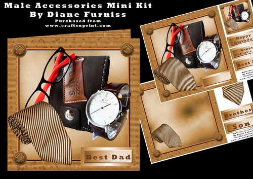 Male Accessories 