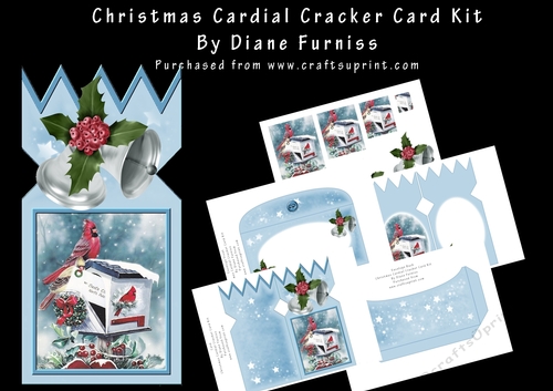 Christmas Cardinal Cracker Card Kit