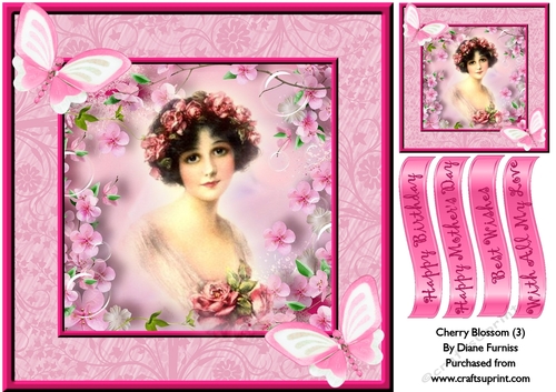 Cherry Blossom (3)