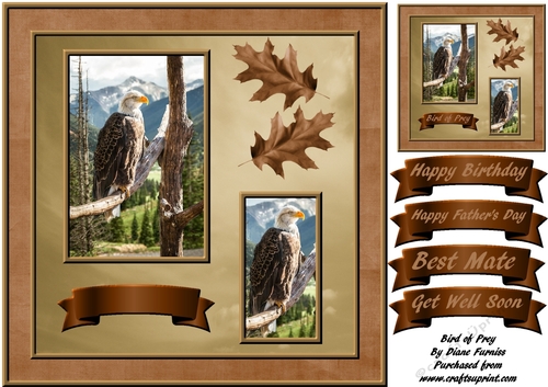 Bird of Prey