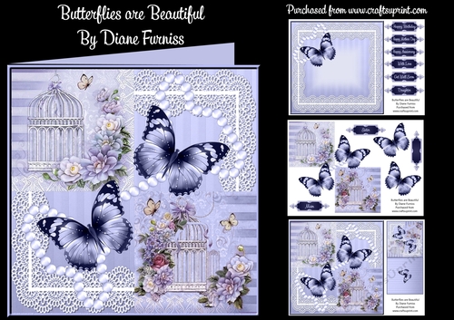 Butterflies are Beautiful Mini Kit