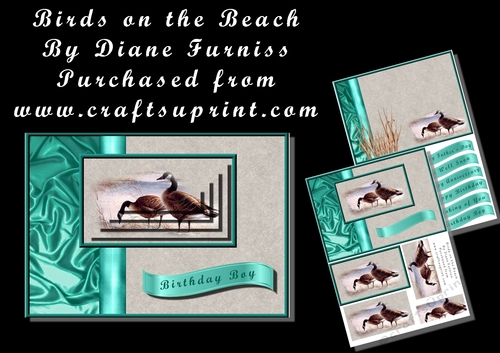 Birds on the Beach Mini Kit