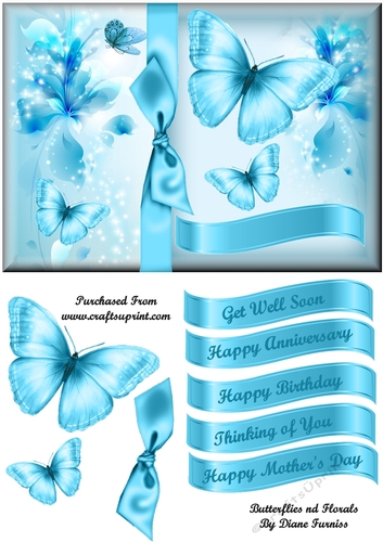 Butterflies and Florals